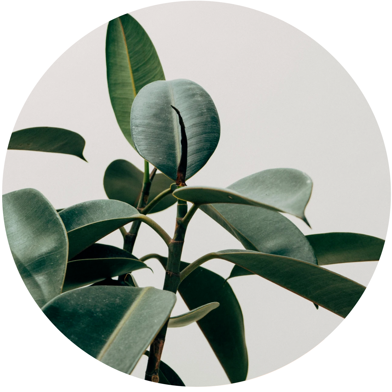 子宮脱・尿漏れ